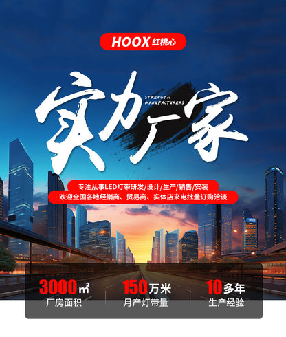 Cross-border Silicone220V High Pressure COB Light Strip110V Living Room led Light strip high voltage outdoor waterproof light strip ambient light